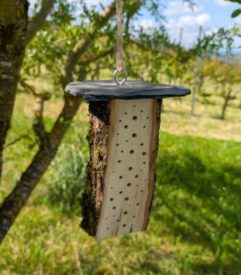 Bienenhotel aus Eichenholz mit Rinde und naturbelassen, Bohrungen mit 2 -5 mm Durchmesser.