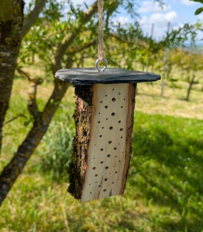 Bienenhotel aus Eichenholz mit Rinde und naturbelassen, Bohrungen mit 2 -5 mm Durchmesser.